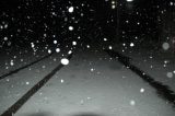 snow_pictures