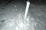 snow_pictures