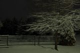 snow_pictures