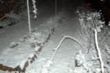 snow_pictures