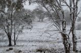 Purchase a poster or print of this weather photo