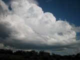 cumulonimbus_calvus