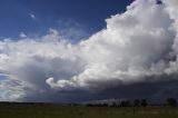 cumulonimbus_incus