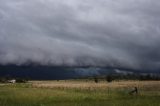 shelf_cloud