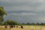 Purchase a poster or print of this weather photo