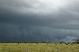 shelf_cloud