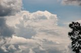 pileus_cap_cloud