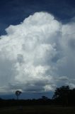 cumulonimbus_incus