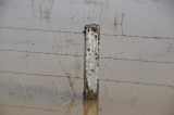 flood_pictures