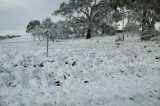 Australian Severe Weather Picture