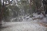 Australian Severe Weather Picture