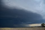 Australian Severe Weather Picture