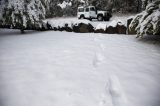 Australian Severe Weather Picture