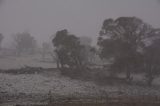 Australian Severe Weather Picture