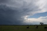 Australian Severe Weather Picture