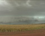 Supercells and Microburst South West Slopes - NSW : November 21 2003